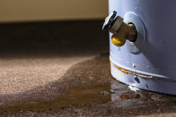Best Water damage restoration cost  in Mcgaheysville, VA