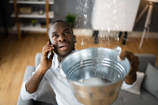 Best Mold removal after water damage  in Mcgaheysville, VA