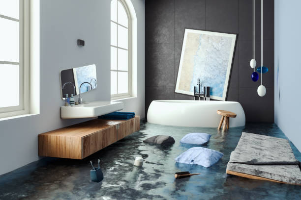 Best Flood damage cleanup  in Mcgaheysville, VA
