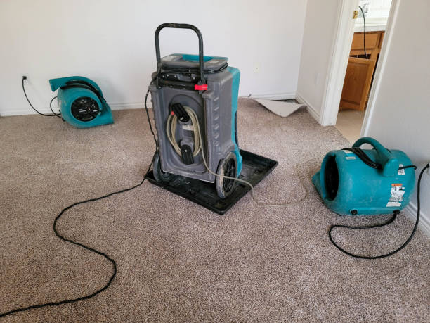 Best Flood restoration services  in Mcgaheysville, VA