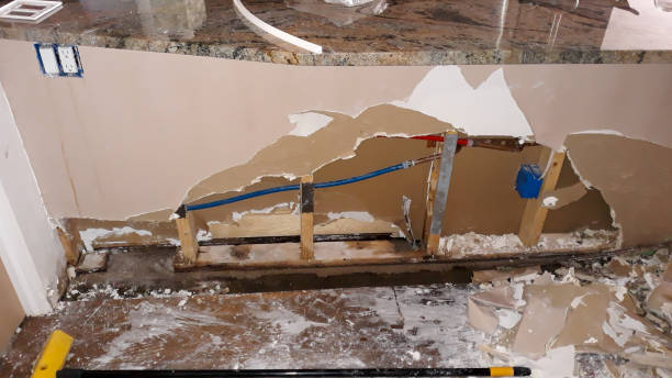 Best 24/7 water damage repair  in Mcgaheysville, VA