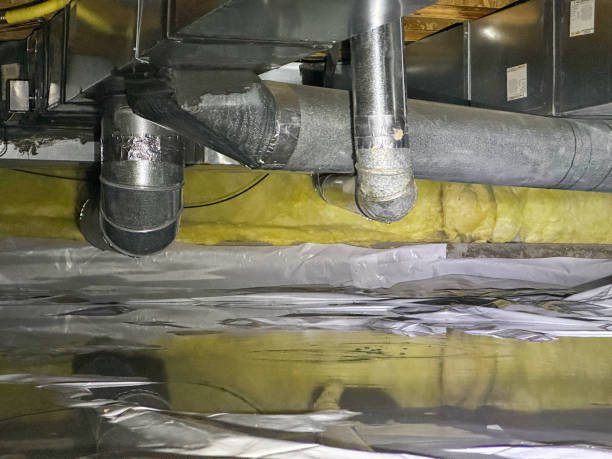  Mcgaheysville, VA Water damage restoration Pros