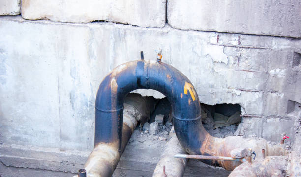 Best Carpet water damage restoration  in Mcgaheysville, VA